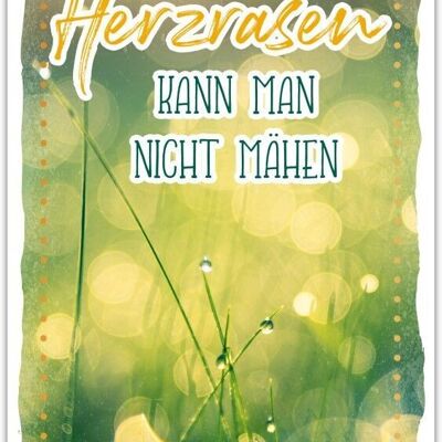 Postkarte Happy Words "Herzrasen kann man nicht mähnen"