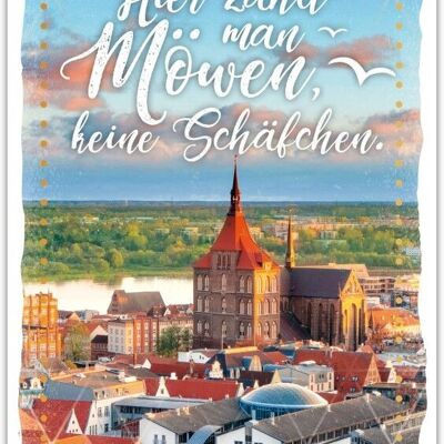 Postkarte Happy Words "Hier zählt man Möwen, …"