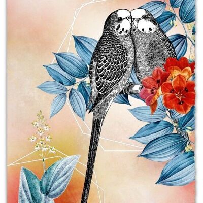 Greeting Card Silver Line - Budgies