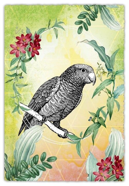 Grußkarte Silver Line - Papagei
