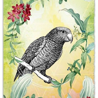 Greeting Card Silver Line - Parrot