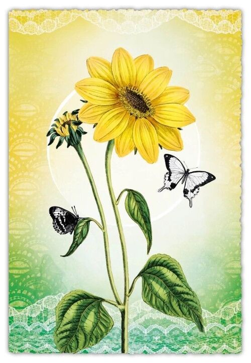Grußkarte Silver Line - Sonnenblume