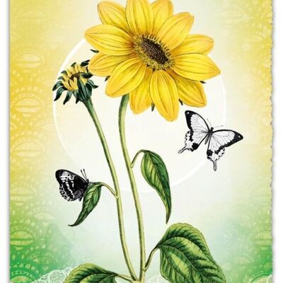 Greeting Card Silver Line - Sunflower