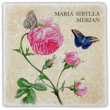 Sous-verre en marbre "Merian" 1