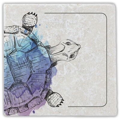 Marble Coaster Turtle 2/2