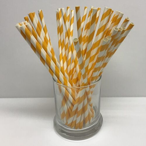 1000 Orange and White Paper Straws