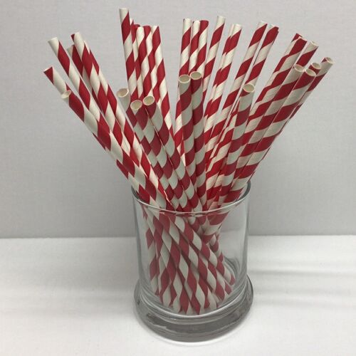 1000 Red and White Paper Straws