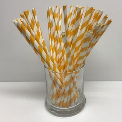 3000 Orange and White Paper Straws