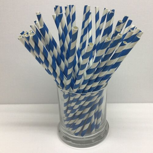 24000 Blue and White Paper Straws