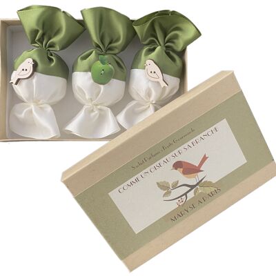 Box of 3 Gourmet Fruit scents - Green color