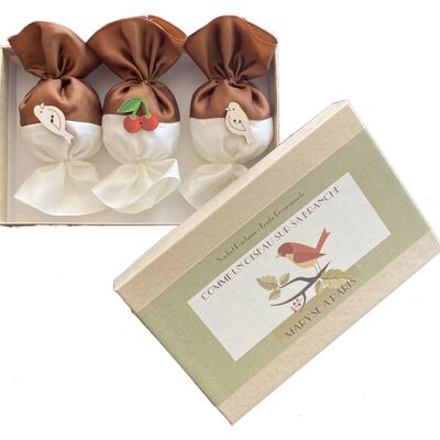 Box of 3 Gourmet Fruit scents - chocolate color