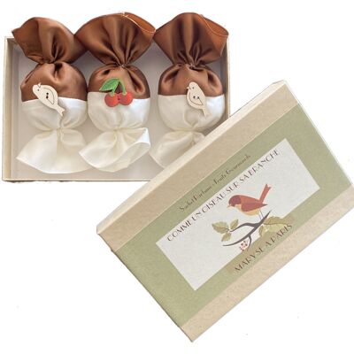 Box of 3 Gourmet Fruit scents - chocolate color