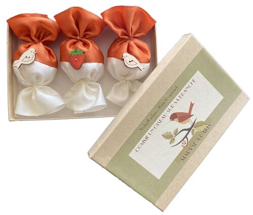 Coffret de 3 senteurs Fruits Gourmands - colori Rouille