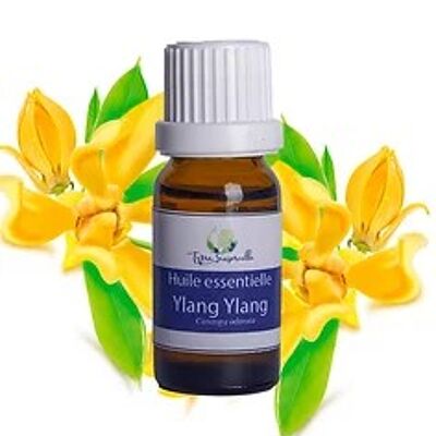 Ylang-Ylang essential oil 10ml
