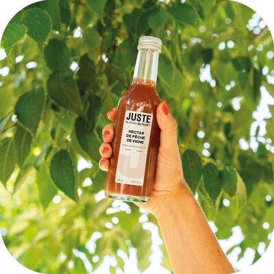 JUST THE CHOICE OF FRUIT - NÉCTAR DE MELOCOTON DE VIÑA 25 cl X 12