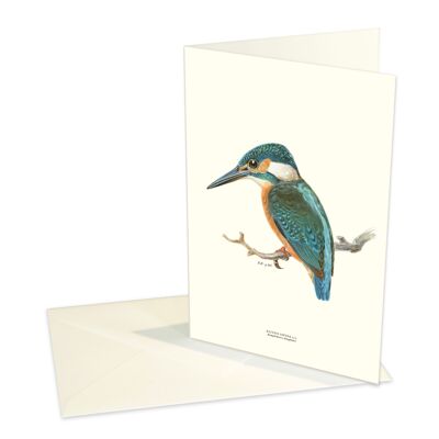 Folded cards Kingfisher