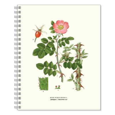 Writing book Odor rosehip