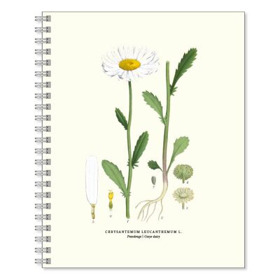 Scrivere il libro Daisy