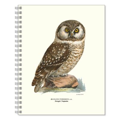 Writing book Pearl owl
