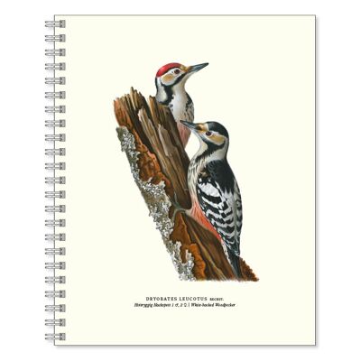 Writing book Woodpecker