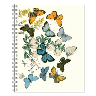 Cahier Papillons Couleur