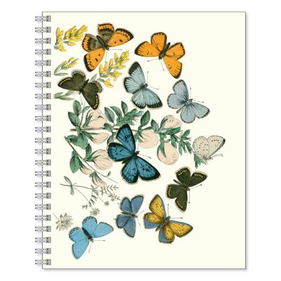 Cartella di lavoro Colore farfalle
