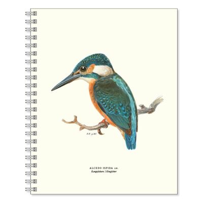 Writing book Kingfisher