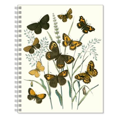 Cahier Papillons Marron