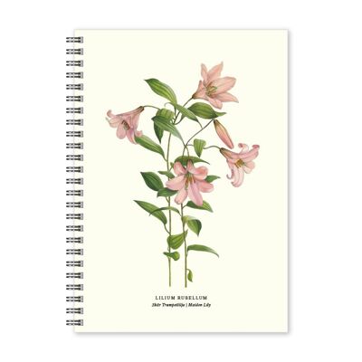 Notebook A5 Cut Trumpet Lily