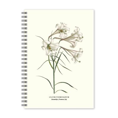 Notebook A5 Trumpet lily