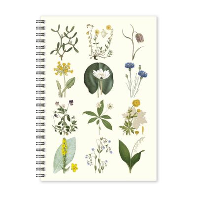 Notebook A5 Plants