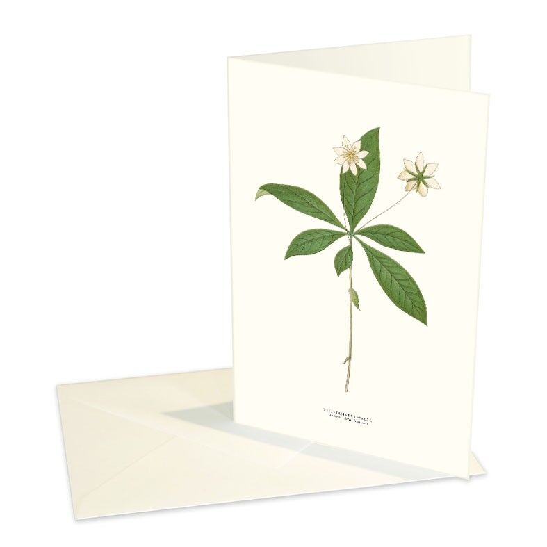 Tarjetas plegadas Duvkulla