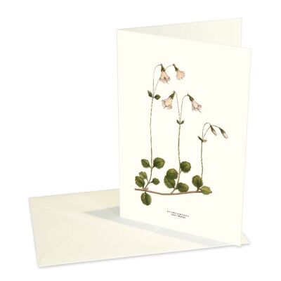 Folded cards Linnea