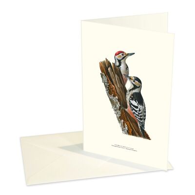 Folded cards Woodpecker