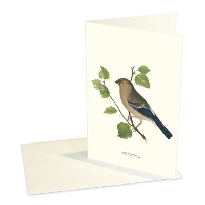 Folded cards Bullfinch