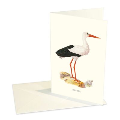 Folded card White Stork