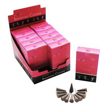 Stamford Assortiment de cônes d'encens Pink Angels Collection - Paquet de 12 (180 cônes) 7