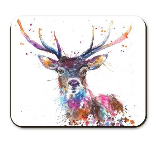 Splatter Rainbow Stag Placemat
