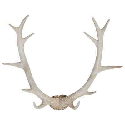 Antlers Rustic | Deer antlers white
