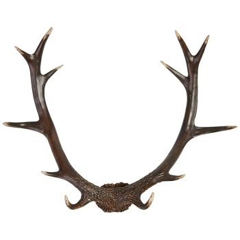 Antlers Rustic | Bois de cerf noir 1