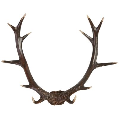 Antlers Rustic | Deer antlers black