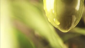 3 litres d'huile d'olive extra vierge biologique Raffaele (production octobre 2023) 7
