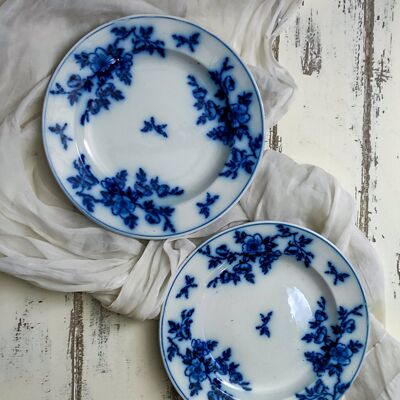 Set of six large dinner plates with blue flowers