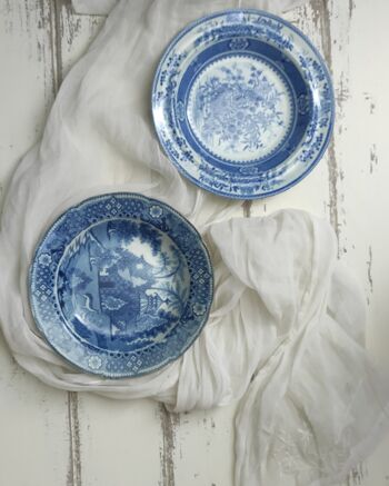 Paire d'assiettes creuses blanches et bleues du milieu du XIXe siècle 1