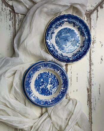 Couple assiettes set de couverts assortis en porcelaine anglaise, blanc et bleu 2