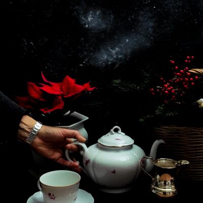 Servicio de té Richard Ginori con decoración de ducha antigua de flores rojas