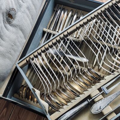 Complete cutlery set for 12 with Krupp Milano case