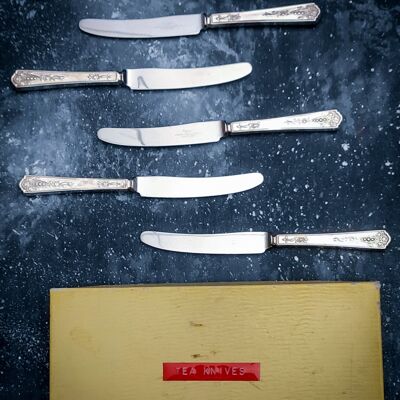 Set di sei coltelli da dolce in sheffield con scatola originale