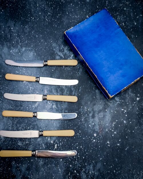 Set sei coltelli da dolce con scatola