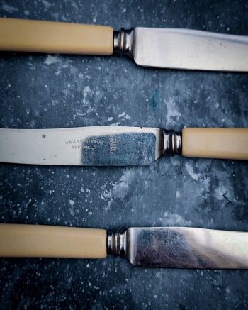 Ensemble de six couteaux à dessert avec coffret 2
